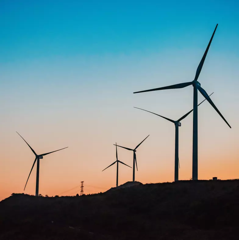 Ecologische voetafdruk